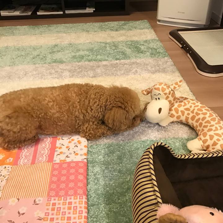 45933a4b 9b51 4dc8 8c18 72187f5bbfa6