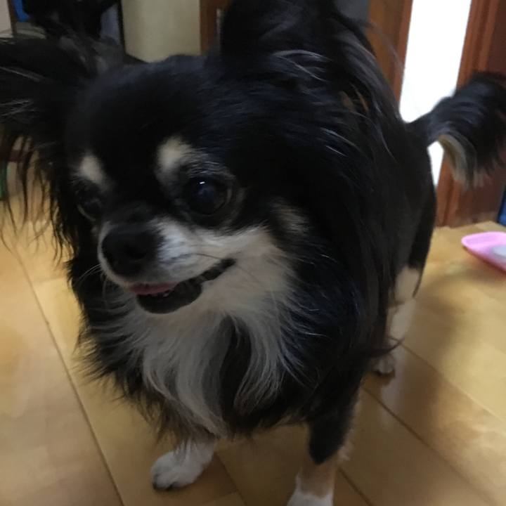 4594076d 351d 4857 867f 04a6e9a59e25