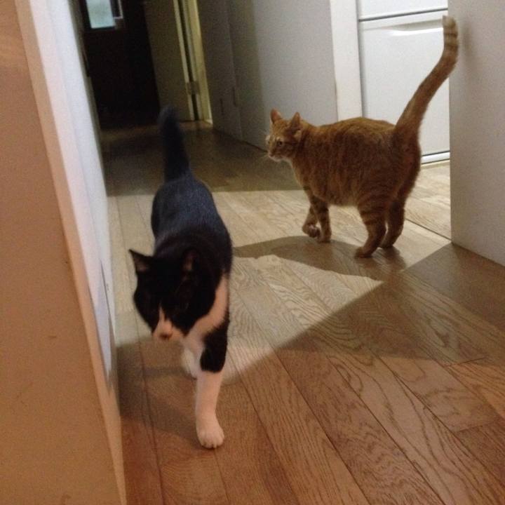 45942eb2 13c2 431b 91bd 730bac4f719a