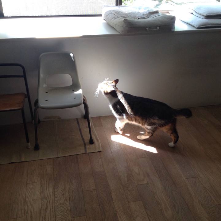 4594e4d2 abc7 413a b641 76ca224e05c5