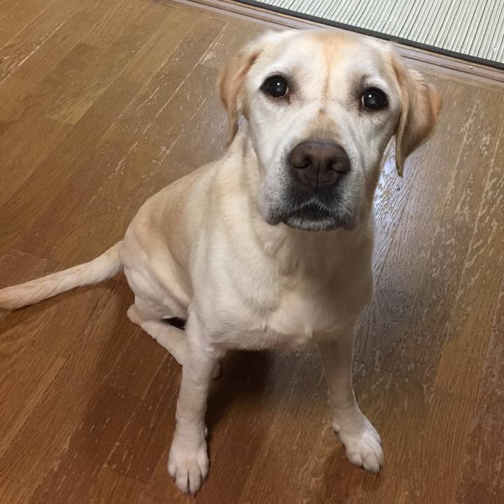 45954a1a 3dd5 41e4 9f15 55e8110f4053