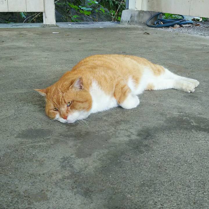 45958d90 4f39 4a2c 94fe dbd34ec8af7e