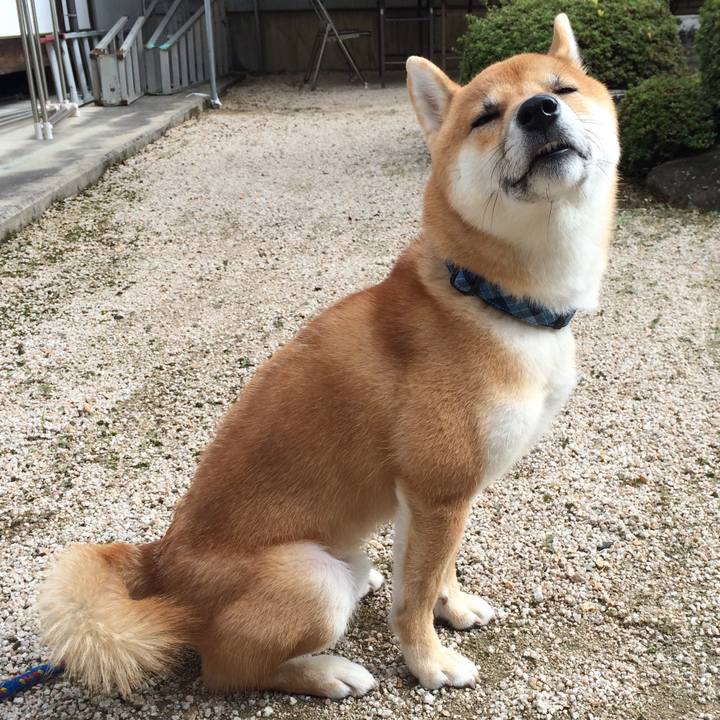 4595d3c8 ced7 4209 a804 fd3a1dae10cf