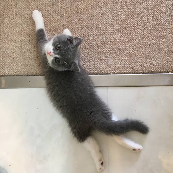 45962820 3b8d 4e19 8189 657a269f7d89