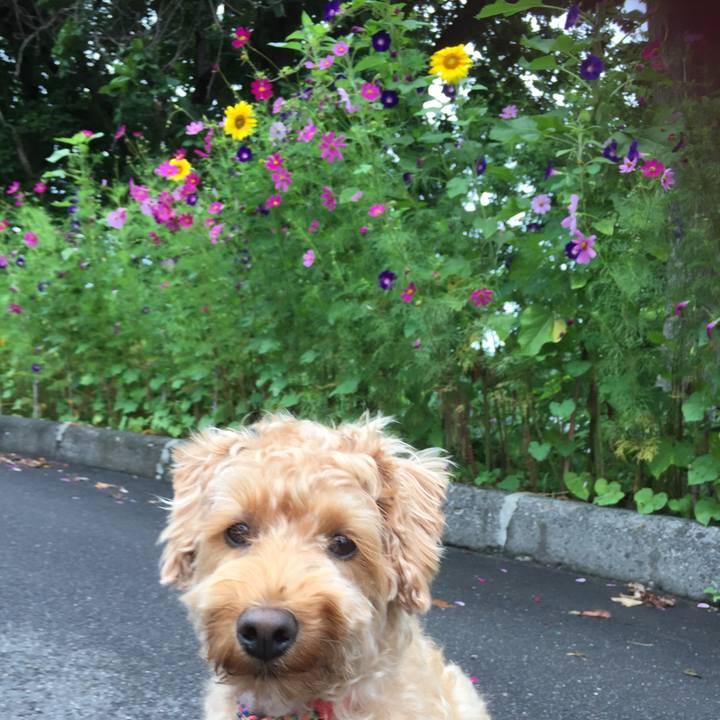 45963bf1 243c 4ec2 896c a9103f12f277