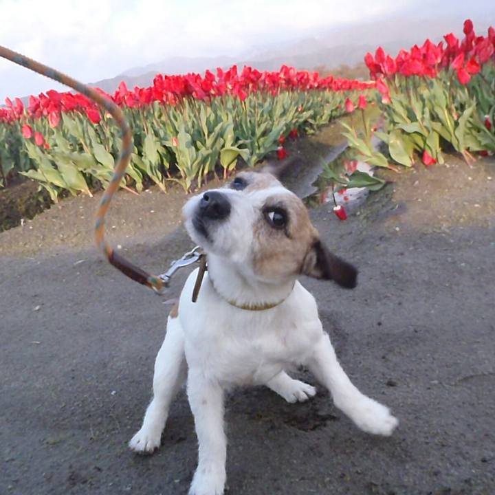 4596e8a7 a897 478b b63a 1b0577307f2b