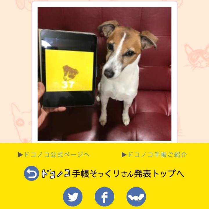 45971878 94ee 4378 b278 c0e3b547262f