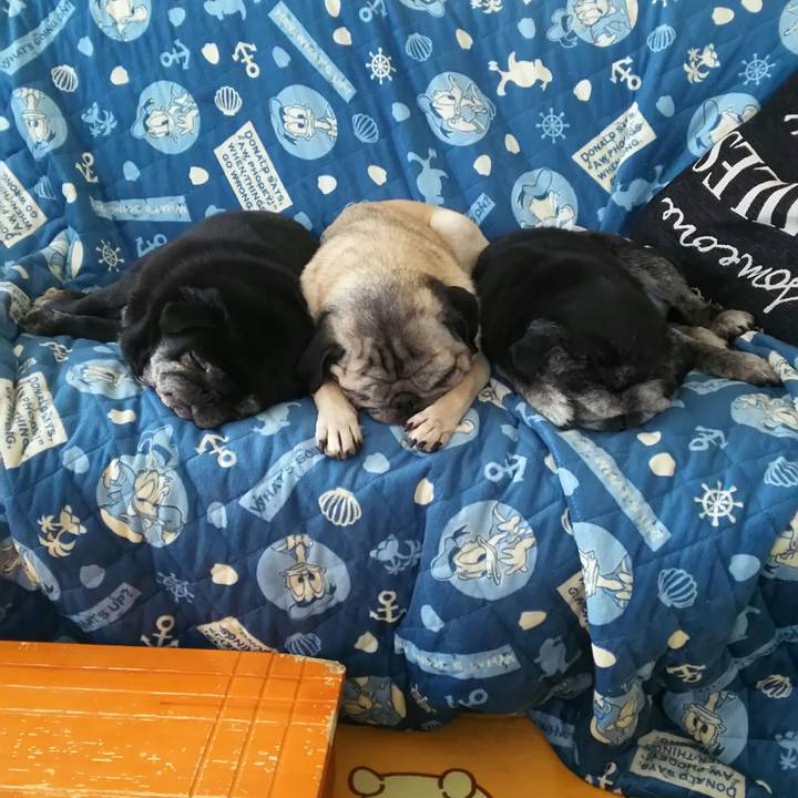 4597a537 43cc 4e24 bf7b cc1919ed47a0