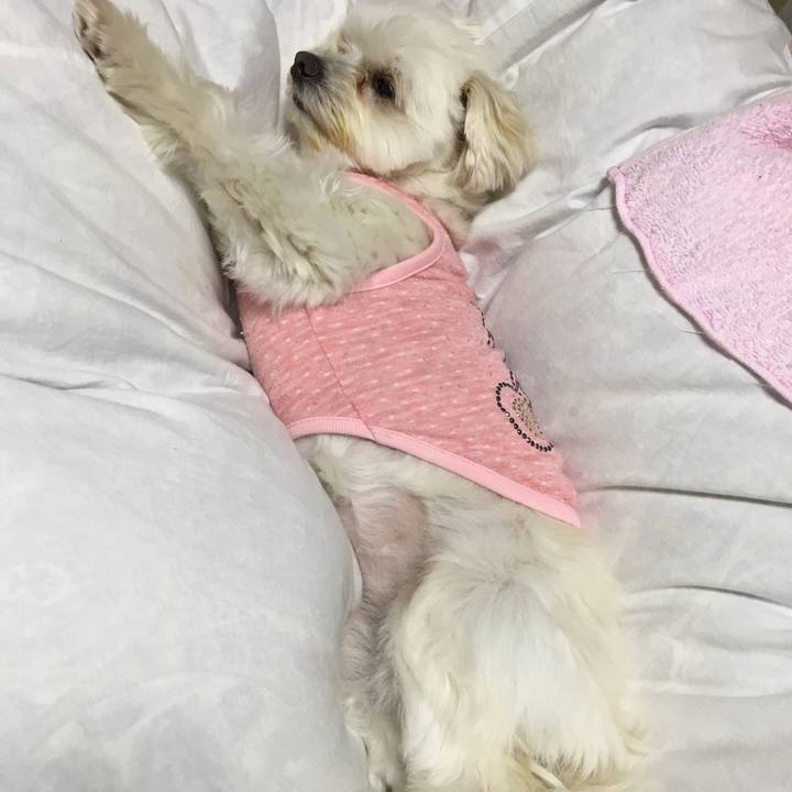 4597e097 2329 4f68 b60a 7dde8f54a412