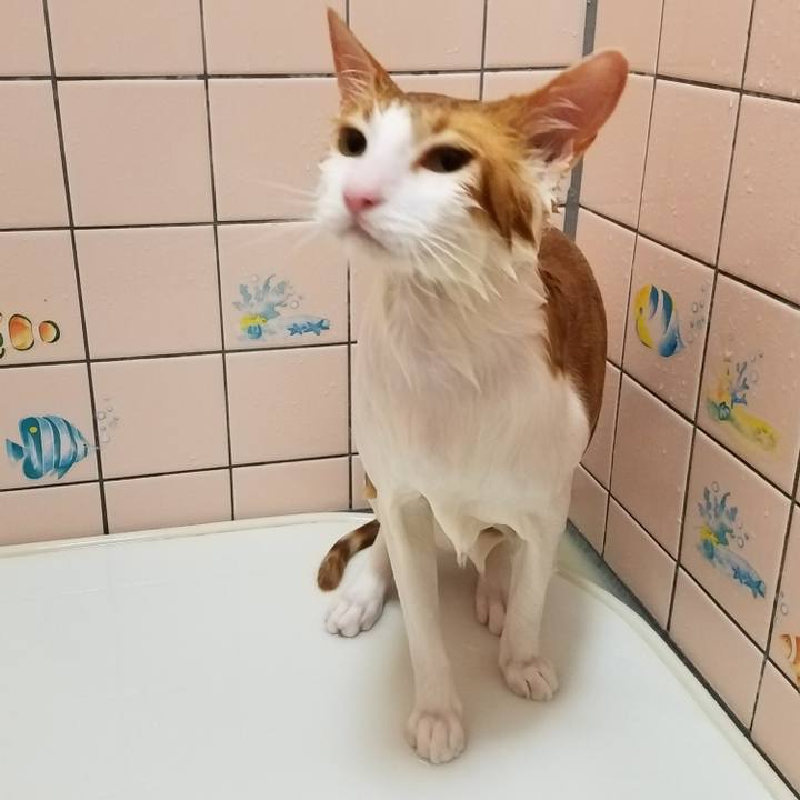 45992b35 5d11 45d1 97ca 368e9d82af79