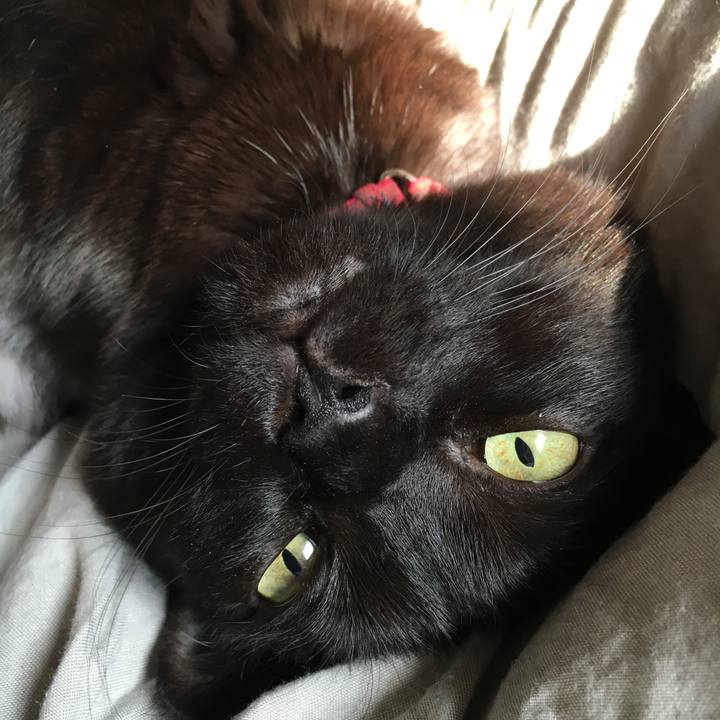 45996d7a 7128 459a 974e 7275797dce0b