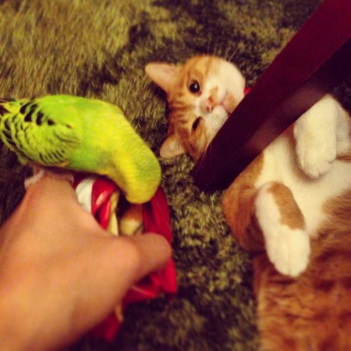 4599c012 b430 4e4c 932a 39d04fe7a542