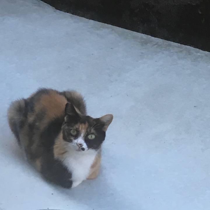 459a4f04 157c 428b 8c2d 861759801466