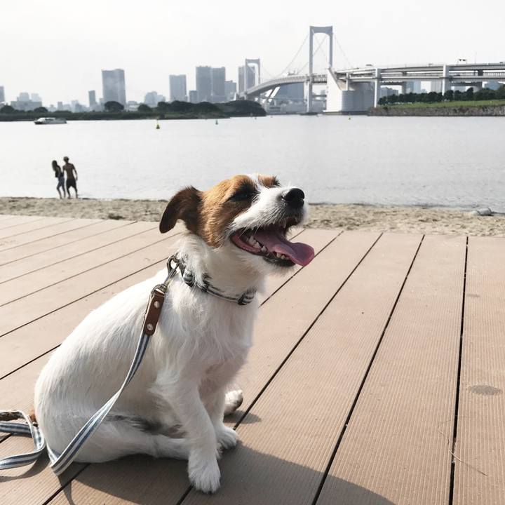 459a6a54 887e 4729 af84 9b8e54d8207f