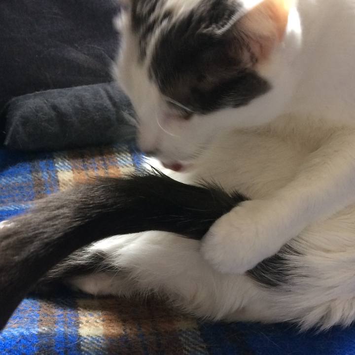 459b07c8 1e8a 4cd9 9629 137da7fdfdcf