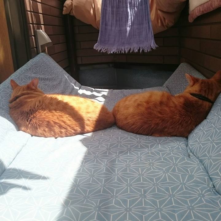 459c0346 91b0 41a8 88ed 9de091d962e6