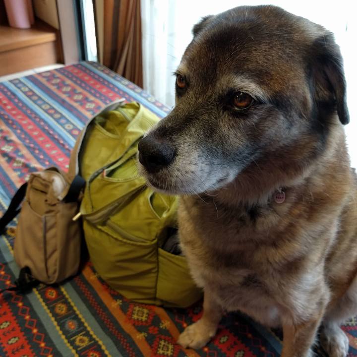 459c88be 9e83 428a 9388 0a19a438a79b