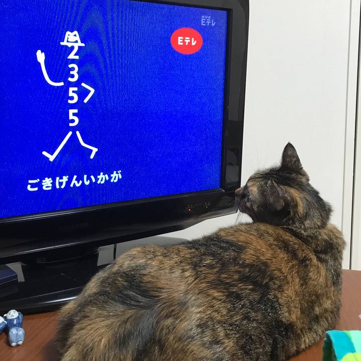 459d7067 3d6b 4036 b880 c6db8d6223db