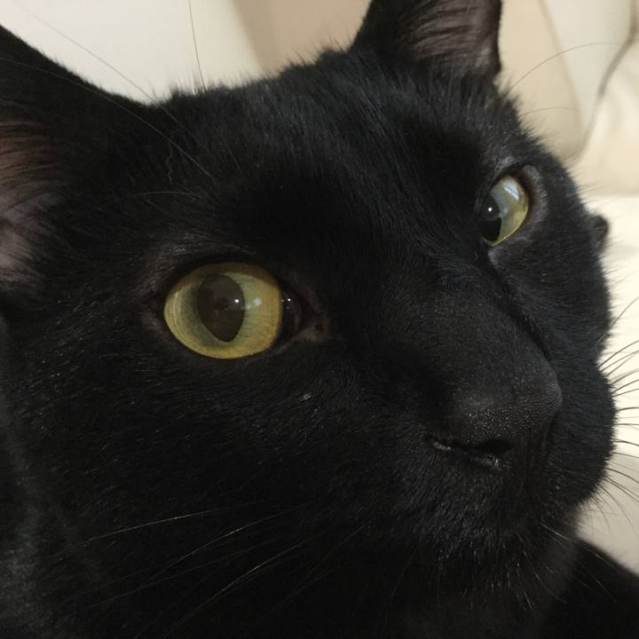 459d96f0 f0ef 408e 8ff9 141139c14fe9