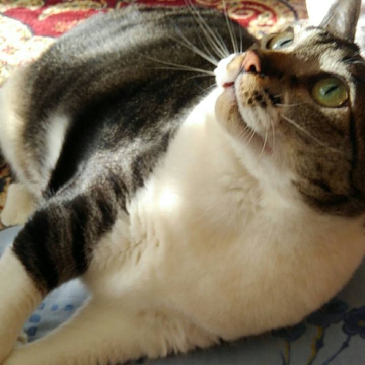 459dd746 3f38 4de7 ad09 8cf82e810411