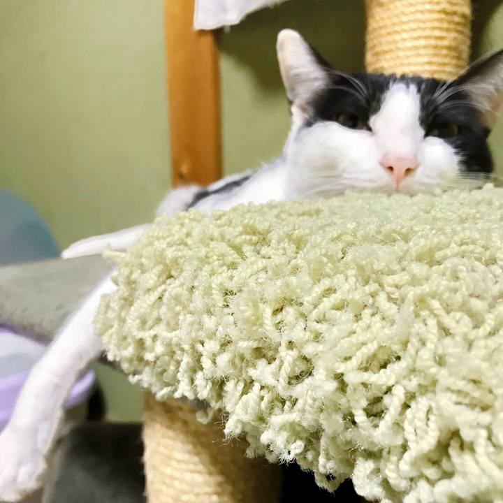 459df3d4 841e 445a 991b 136192f53dfe