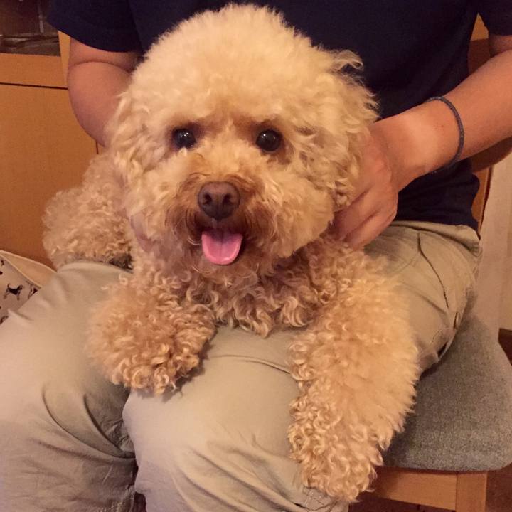 459e4599 ed5a 46fb 9dbd 60573cdfa073