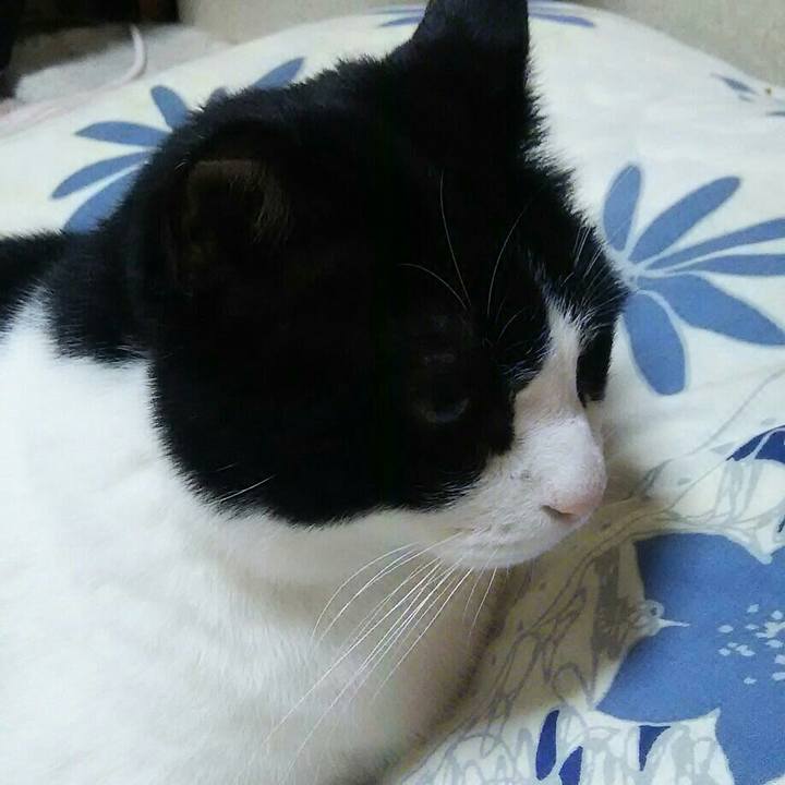 459f10ae 045e 4bbb 9572 792a4b0dd3e8