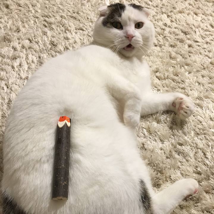 459fcd96 ff8c 4de6 a3e0 317dc89a414e