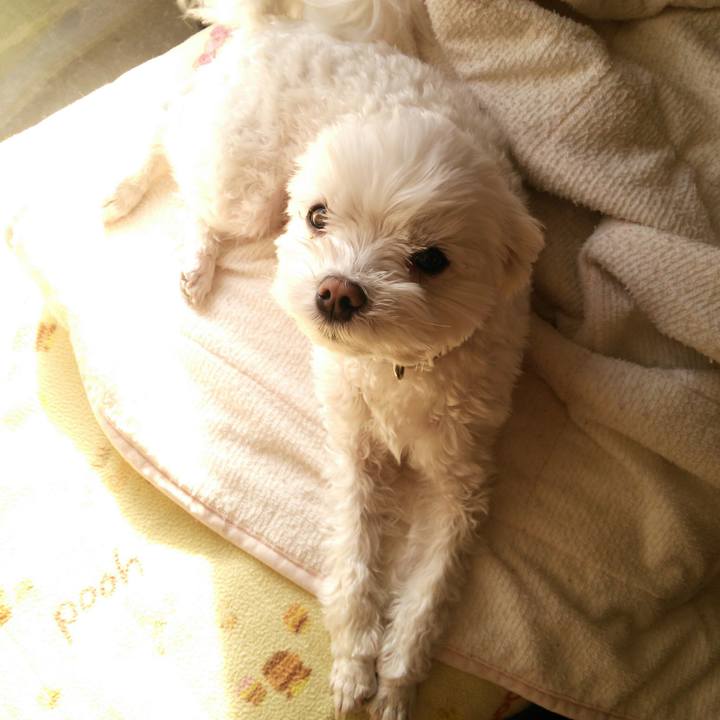 45a1e156 fdde 4c7d 98af 8edd3cf93f3d