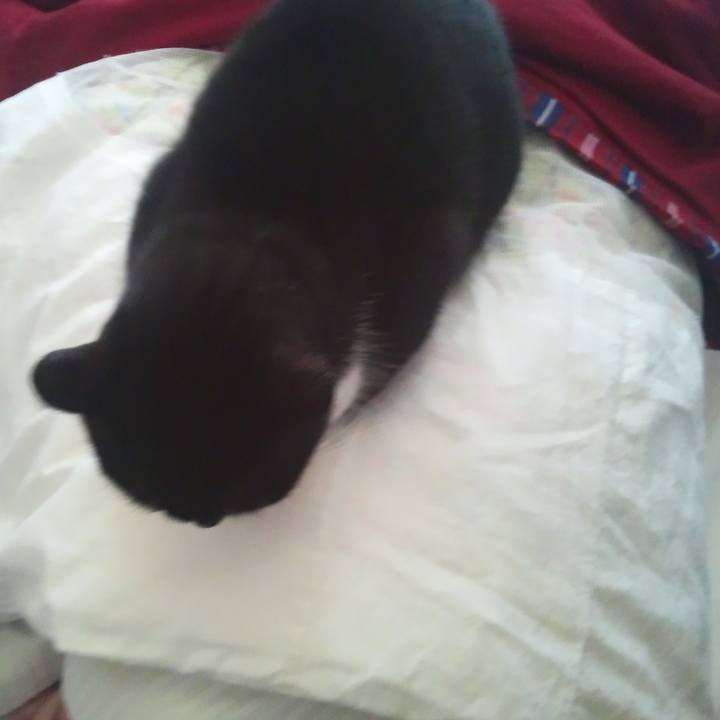 45a1f776 a59f 48a3 a8f4 1d6be0a3c9c5