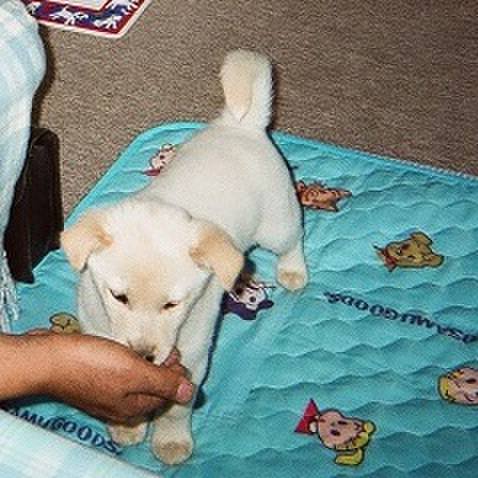 45a23653 2fc4 40f6 aa6a ccf422a19be3