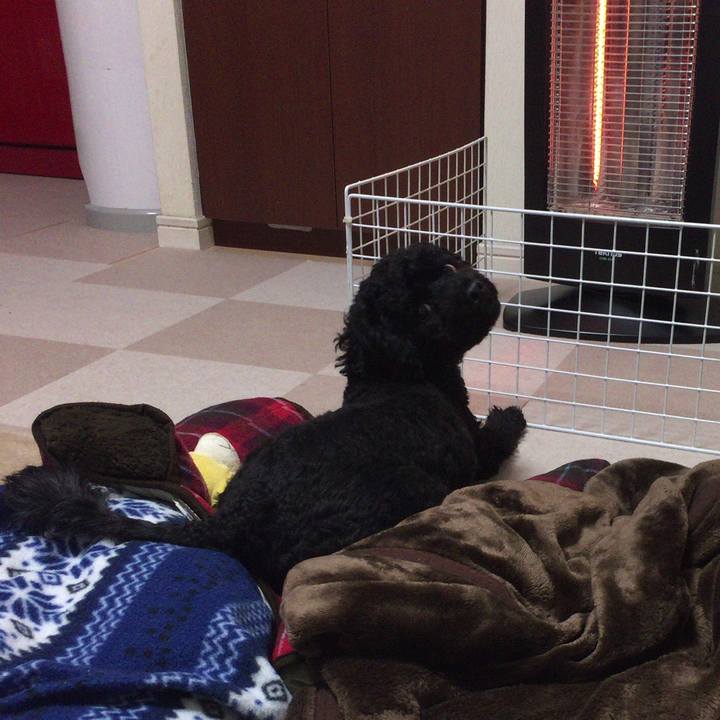 45a295f0 de93 4acb a733 df54c0418523