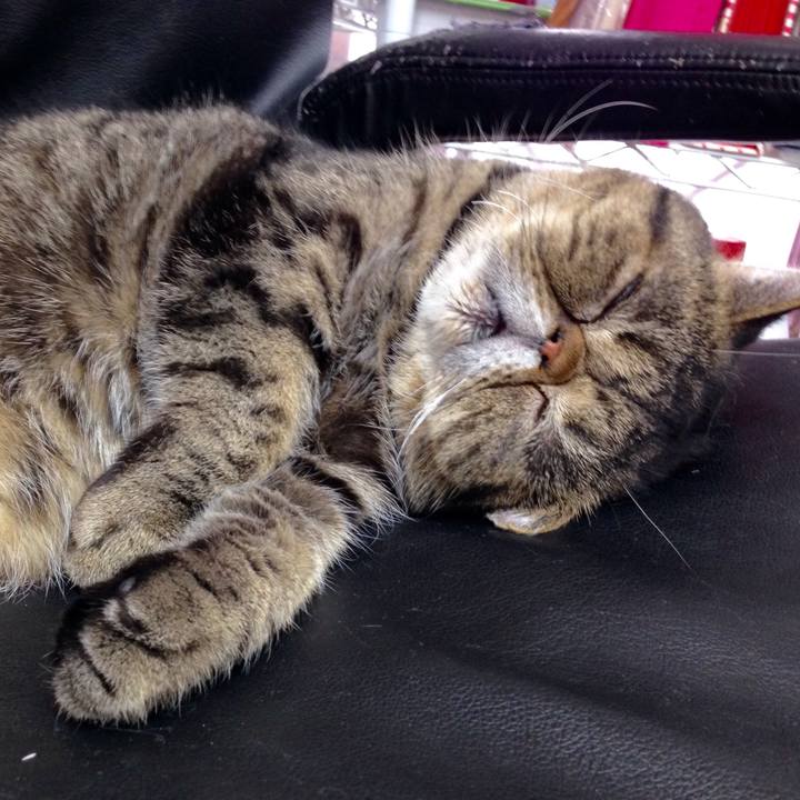 45a2baf4 7913 4d09 b300 a0d6e9bc553f