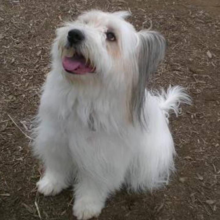 45a34ce5 1521 42bc b5f9 5e25b88137c5