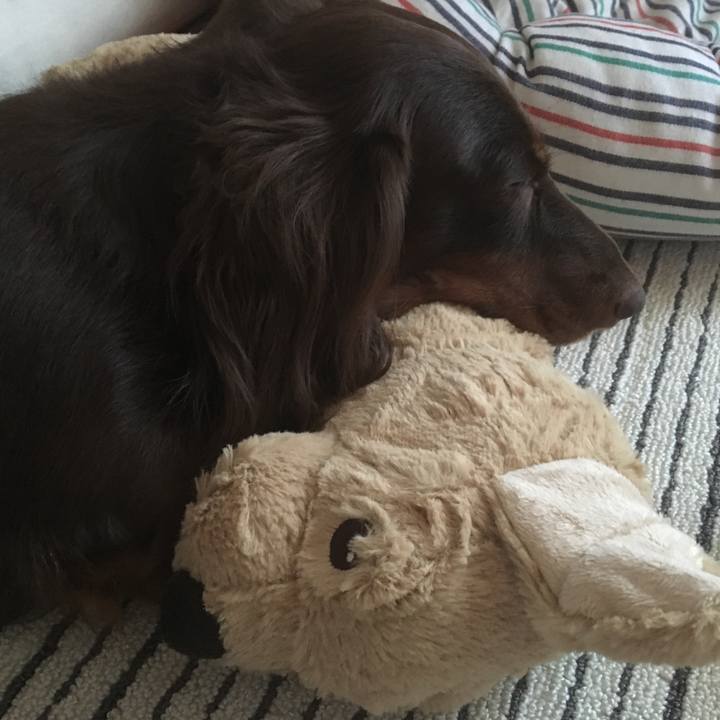 45a37afa e4a7 4d70 9d53 f2c3d9e6af19