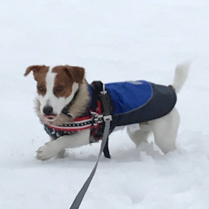 45a46836 1aca 4652 ab88 7a230c193ef6