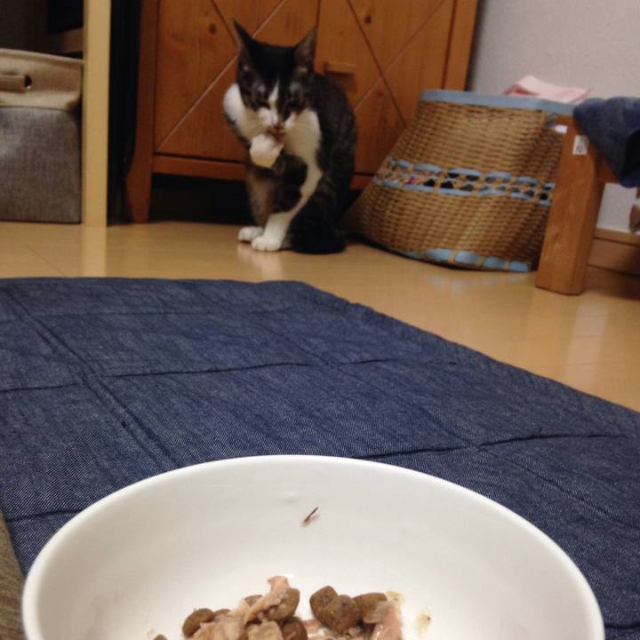 45a46ae1 1cfe 440b 9cfd 51a59299d161