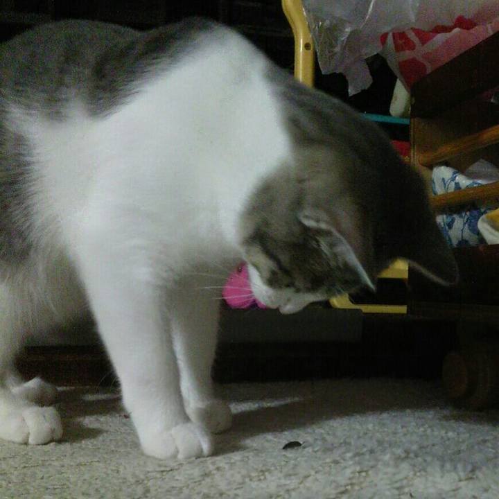 45a54415 bd2d 4dd1 ae6d cccc4ab7a10f