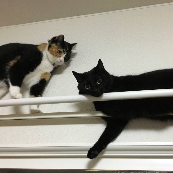 45a57768 316c 4600 bd13 fd088f0bc82c