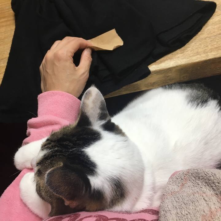 45a6003c 47c0 43d1 81f8 21c638e4d1d4