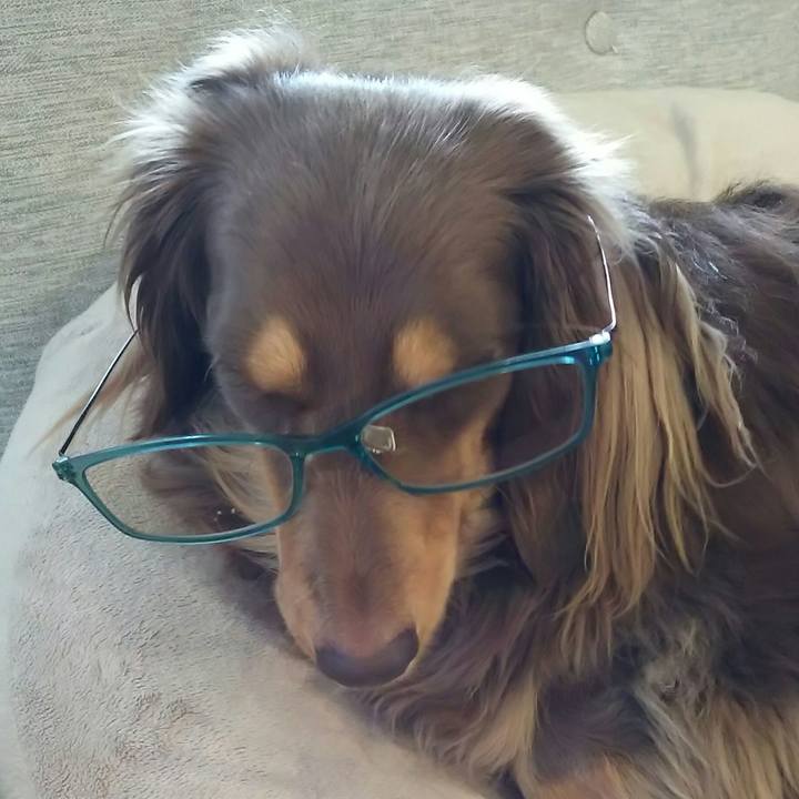 45a6309c ea34 4f09 b400 f7aae2c6bd26