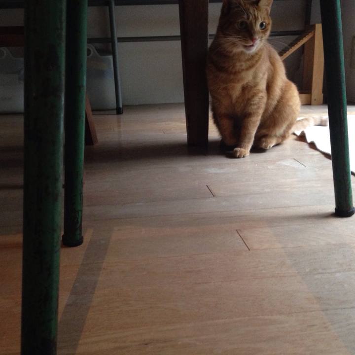 45a6cc1d f462 408b a564 4e6079a7d222