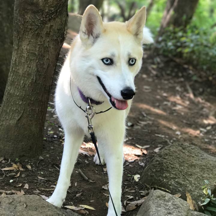 45a70898 0612 406b 86f9 585b1b3ee0cf