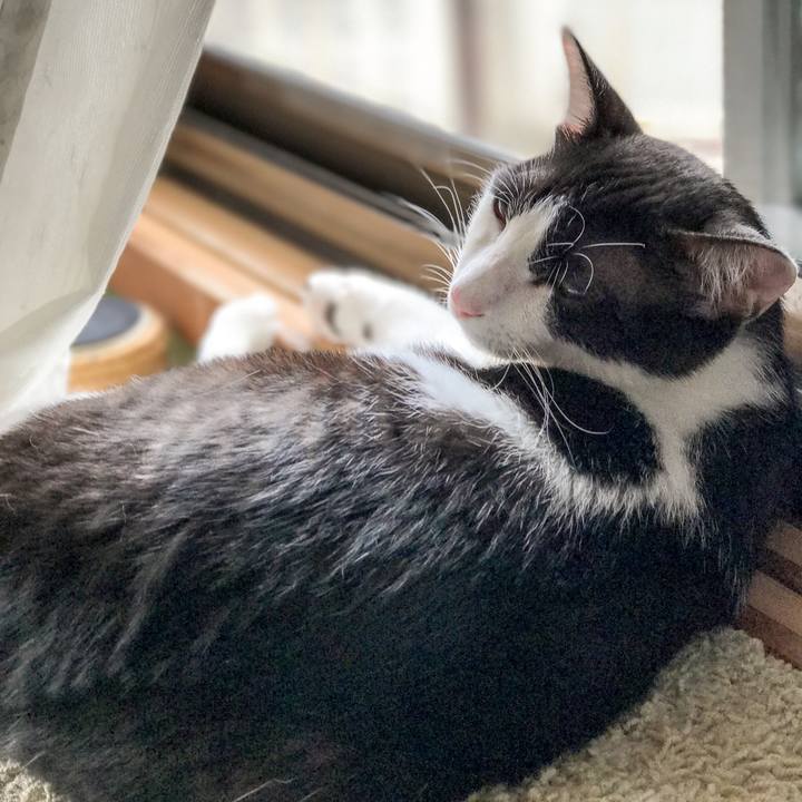 45a70b68 1c72 4d76 b42e ca6104b81e6b