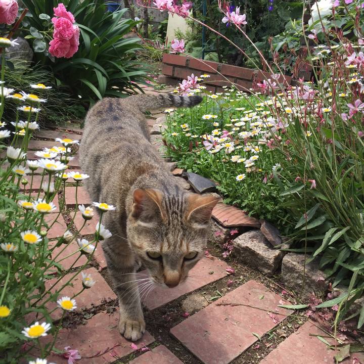 45a77c93 509d 48f2 a4a6 5c88a0f229c4