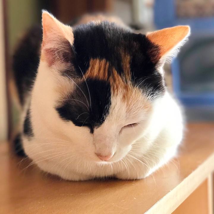 45a7aafb 1357 45df abec 210297f8f748