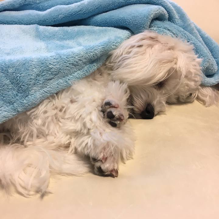 45a836d6 dff8 44ff aeba eb93d01deee6