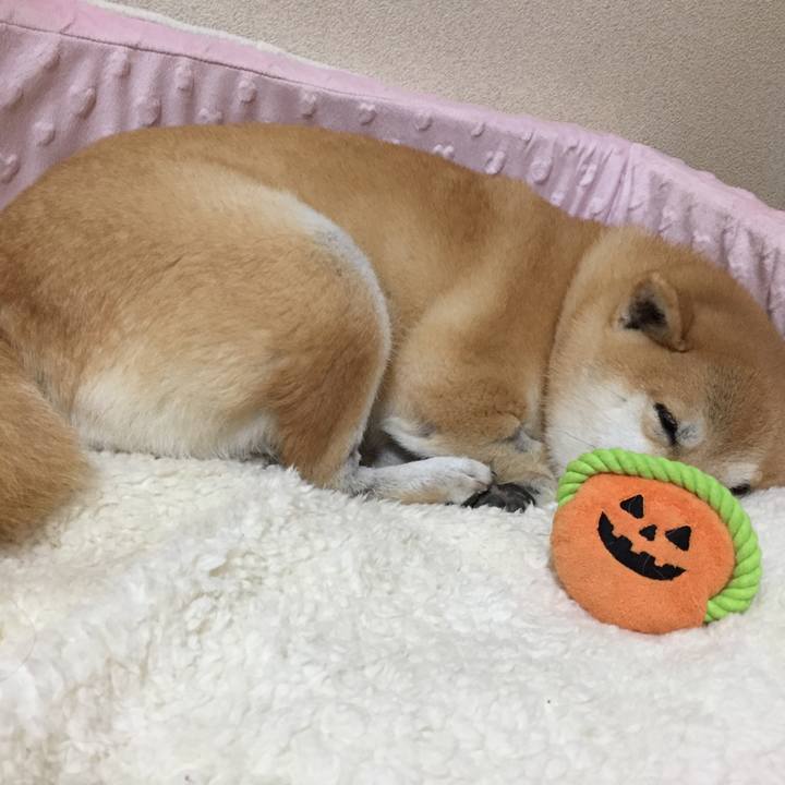 45a85856 0b11 4142 b720 cfe9c4831378