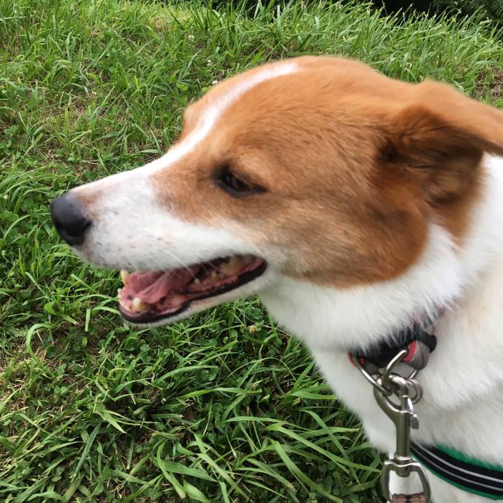 45a8be8d 4ae9 42c7 a832 93af1d98f6e9