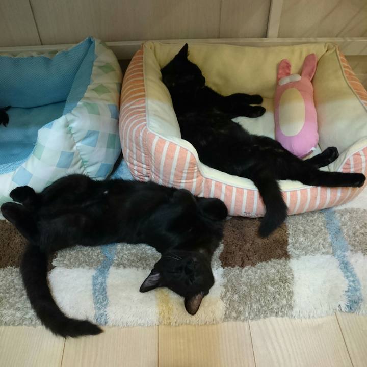 45a8d4c5 942f 46c5 b2e0 b278d66b5989